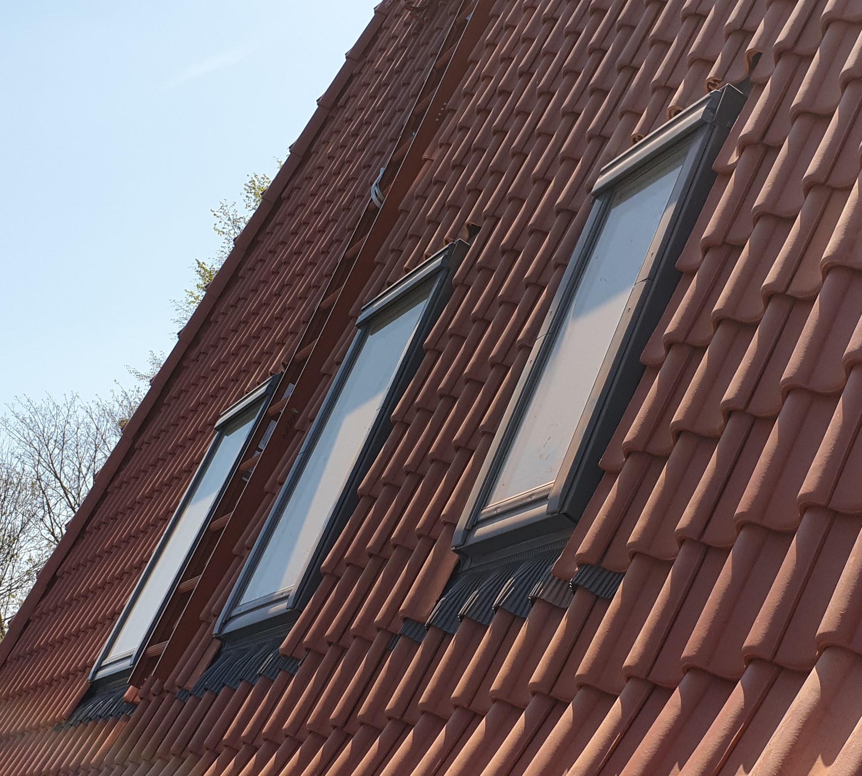 20200417_123012 (2)
